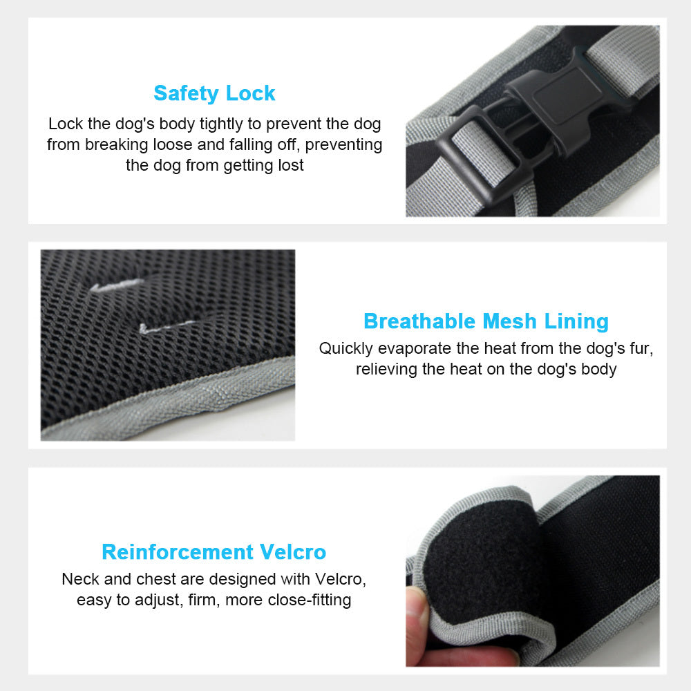 HKM-376403 Luminous LED Adjustable Pet Chest Strap in Lake Blue, Fluorescent Green, Wine Red, and Sun Orange