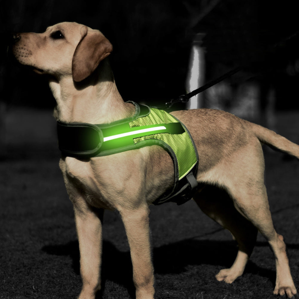 HKM-376403 Luminous LED Adjustable Pet Chest Strap in Lake Blue, Fluorescent Green, Wine Red, and Sun Orange