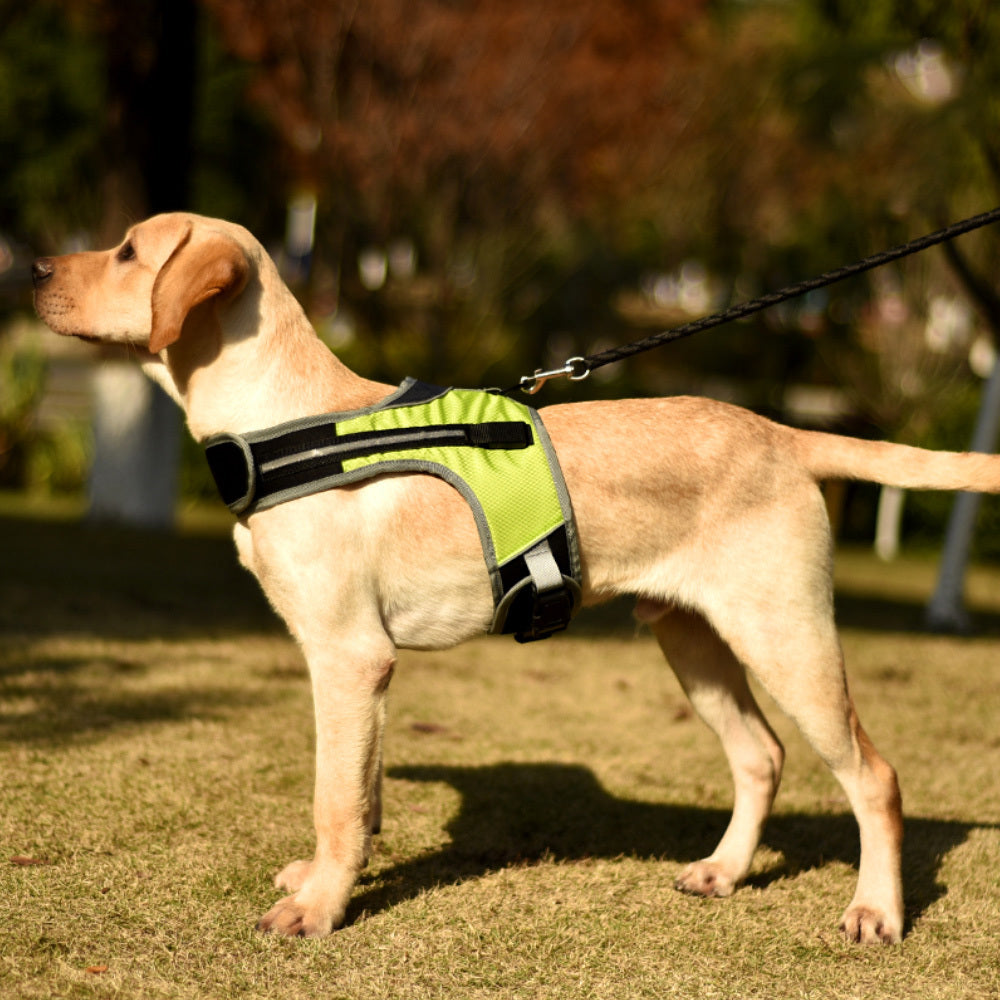 HKM-376403 Luminous LED Adjustable Pet Chest Strap in Lake Blue, Fluorescent Green, Wine Red, and Sun Orange