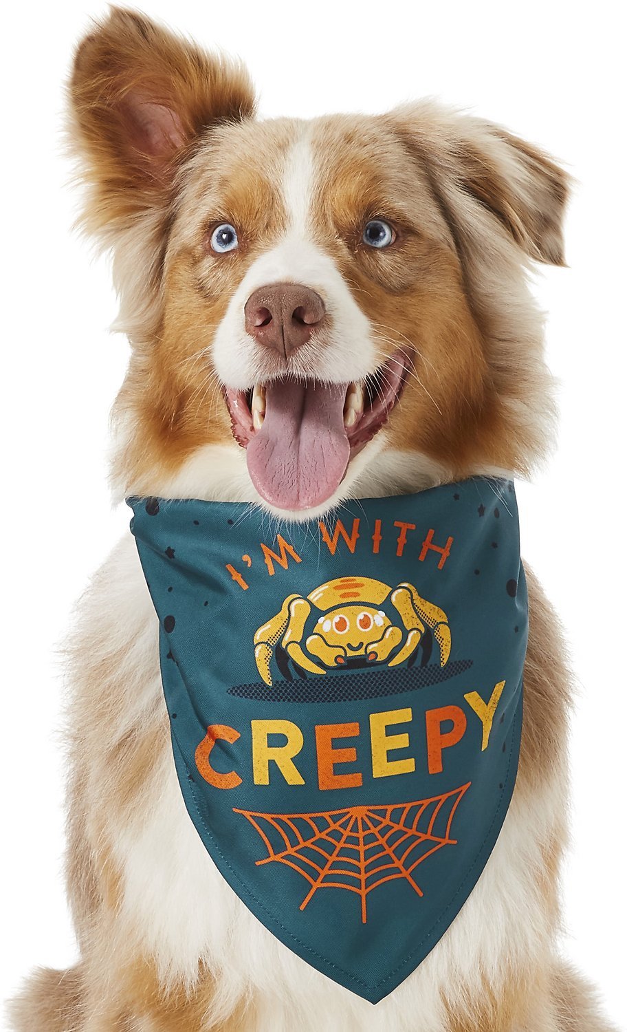HKM-376915 Pet Triangle Scarf Bib for Dogs and Cats - Cute and Functional Saliva Towel in Various Colors