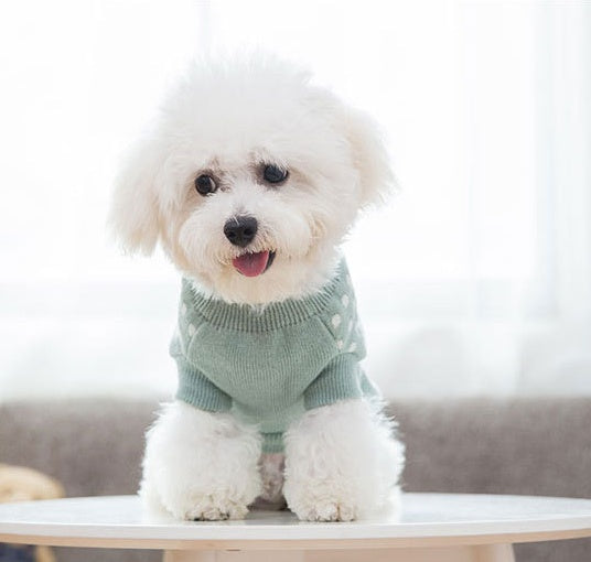 HKM-377235 Wool Dog Sweater in Vibrant Colors - Sizes XS to XXL Available