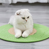 HKM-377747 Japanese cat grinding claw mattress
