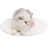 HKM-377747 Japanese cat grinding claw mattress