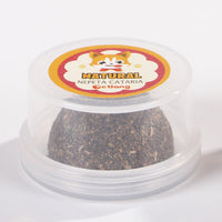 HKM-377811 The Cat Vigorously Licks The Pet Cat Grass Ball