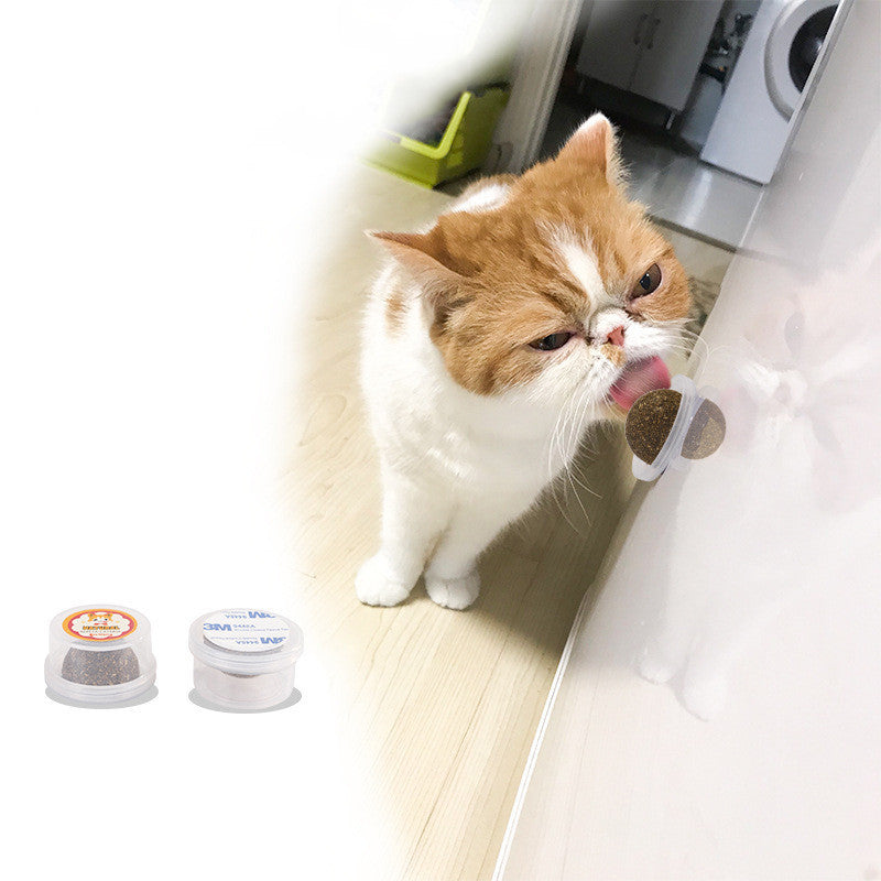 HKM-377811 The Cat Vigorously Licks The Pet Cat Grass Ball