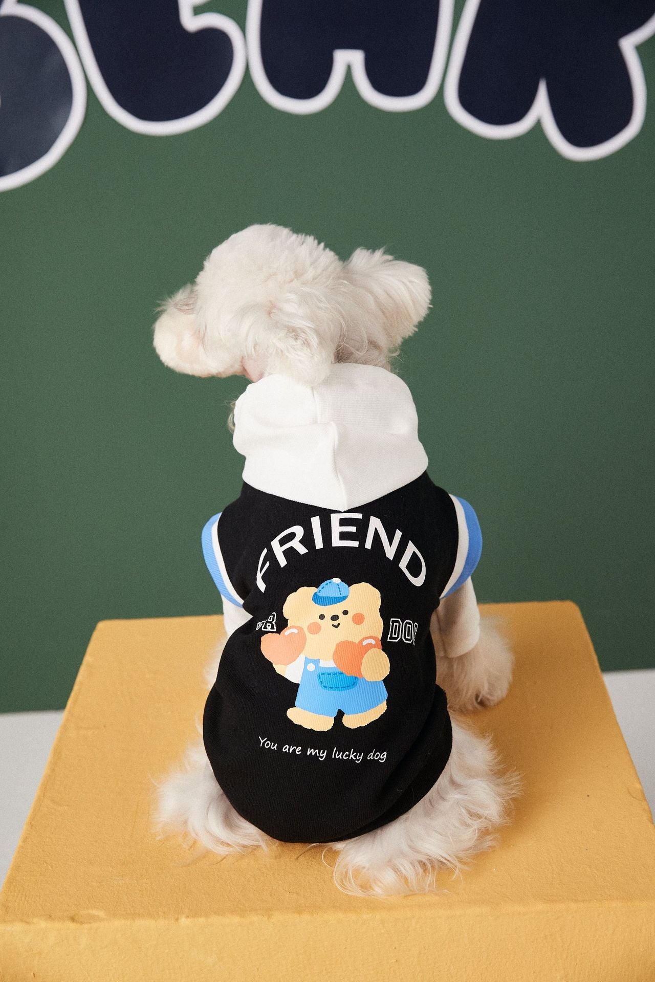 HKM-377939 Stylish Contrast Color Pet Sweater - Cotton Fabric, Available in Black, Blue, Green, Sizes S to XXL