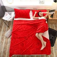 HKM-379347 Thickened Coral Fleece Blanket in Modern Plant and Flower Patterns