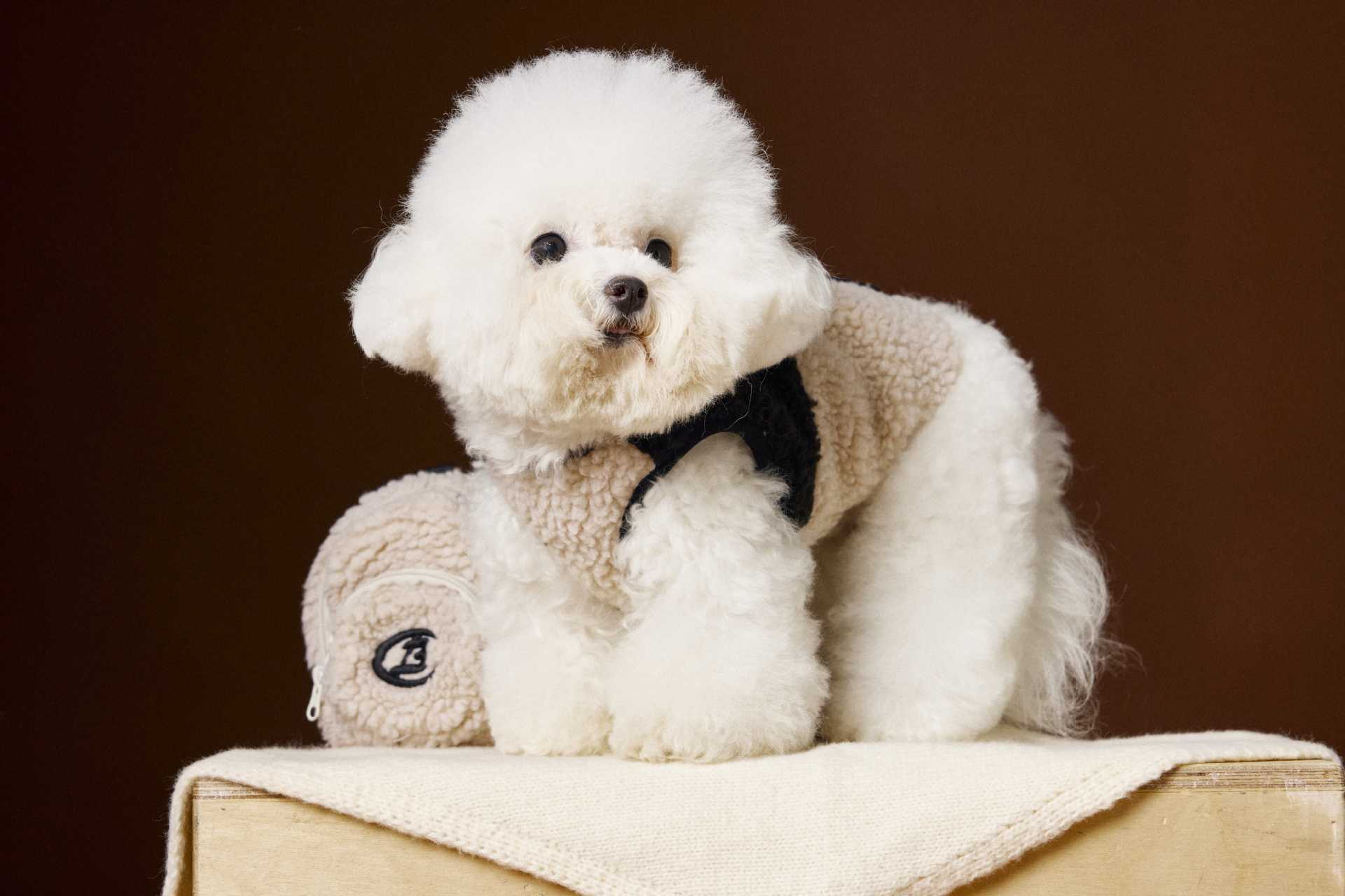 HKM-381139 Schnauzer Bichon Plush Sleeveless Velvet Vest in Coffee and Beige, Polar Fleece Pet Clothing