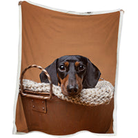 HKM-381651 Sausage Dog Themed Sherpa Fleece Blanket - Soft, Warm, and Breathable for Home and Outdoor Use
