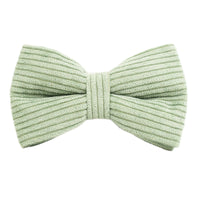 HKM-381651 Stylish Velvet Pet Collar with Dog Rope, Bow Knot, Flower, Vest, and Poop Bag