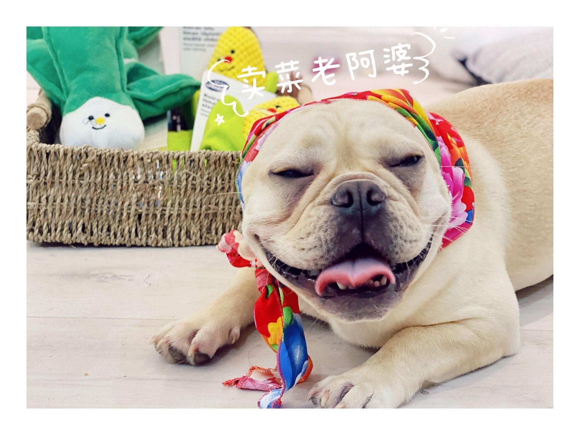 HKM-381907 Country Style Triangular Pet Scarf for Dogs and Cats - Funny Photography Accessory in Red and Green Cotton Silk