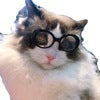 HKM-383955 Multi-Color Round Frame Sunglasses for Pets with UV380 Protection