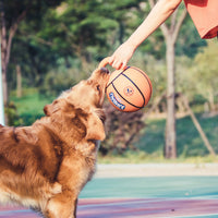 HKM-384723 Jianbao Ball Dog Toy Bite Resistant Pet Toy Ball Puzzle