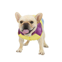 HKM-384979 Rainbow Pet Cotton Vest Costume for All Sizes - Bright Leisure Design in Yellow and Pink
