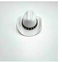 HKM-385107 Fashionable Cat Cowboy Hat with Five-pointed Star Design in Various Colors