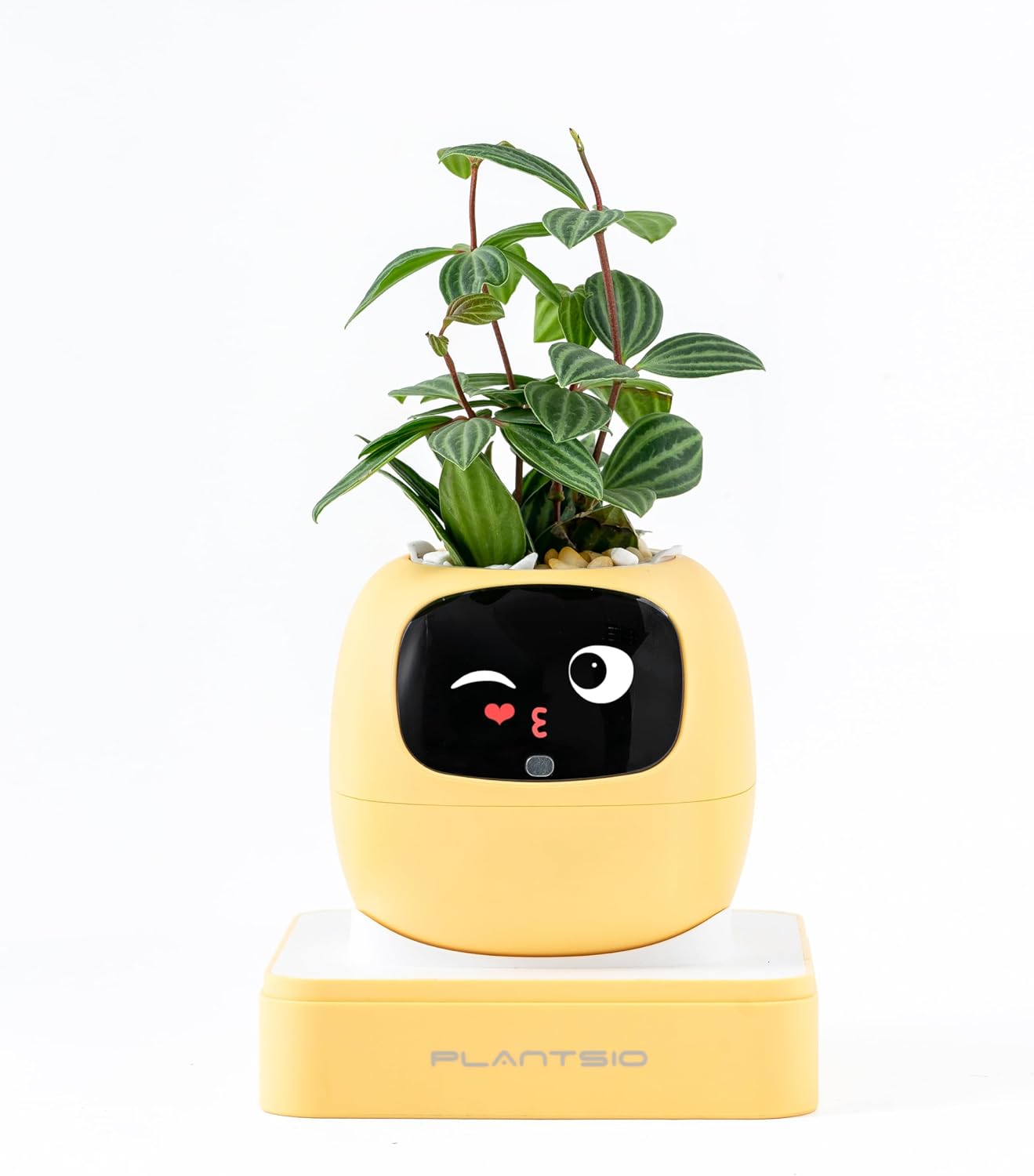 HKM-385299 Smart Plant Care Robot with Automated Watering and Growth Monitoring for Indoor Plants - Interactive Desk Companion