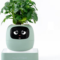 HKM-385299 Smart Plant Care Robot with Automated Watering and Growth Monitoring for Indoor Plants - Interactive Desk Companion