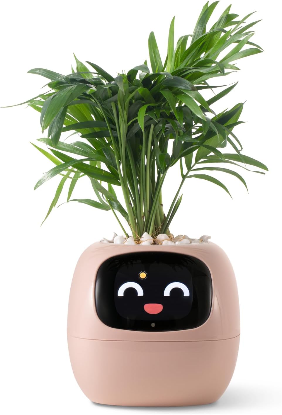 HKM-385299 Smart Plant Care Robot with Automated Watering and Growth Monitoring for Indoor Plants - Interactive Desk Companion