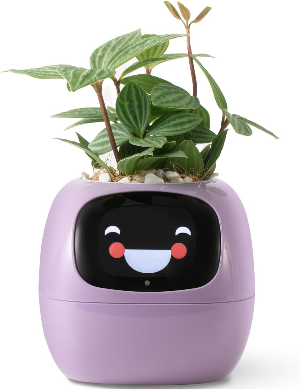 HKM-385299 Smart Plant Care Robot with Automated Watering and Growth Monitoring for Indoor Plants - Interactive Desk Companion