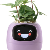 HKM-385299 Smart Plant Care Robot with Automated Watering and Growth Monitoring for Indoor Plants - Interactive Desk Companion