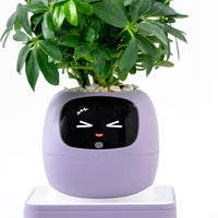 HKM-385299 Smart Plant Care Robot with Automated Watering and Growth Monitoring for Indoor Plants - Interactive Desk Companion