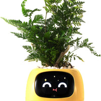 HKM-385299 Smart Plant Care Robot with Automated Watering and Growth Monitoring for Indoor Plants - Interactive Desk Companion
