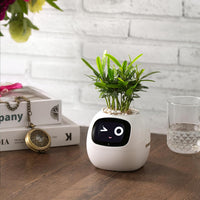 HKM-385299 Smart Plant Care Robot with Automated Watering and Growth Monitoring for Indoor Plants - Interactive Desk Companion