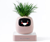 HKM-385299 Smart Plant Care Robot with Automated Watering and Growth Monitoring for Indoor Plants - Interactive Desk Companion