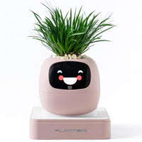HKM-385299 Smart Plant Care Robot with Automated Watering and Growth Monitoring for Indoor Plants - Interactive Desk Companion