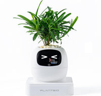 HKM-385299 Smart Plant Care Robot with Automated Watering and Growth Monitoring for Indoor Plants - Interactive Desk Companion