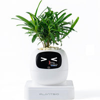 HKM-385299 Smart Plant Care Robot with Automated Watering and Growth Monitoring for Indoor Plants - Interactive Desk Companion