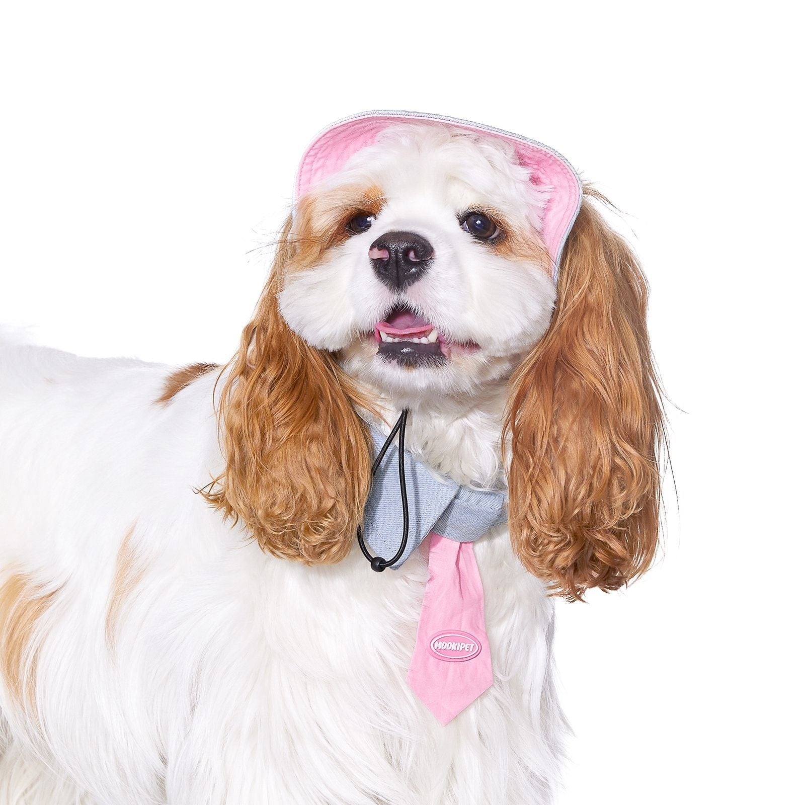 HKM-385683 Bamboo Saliva Towel for Small Dogs - Blue, Casual Style, Available in Sizes S, M, L