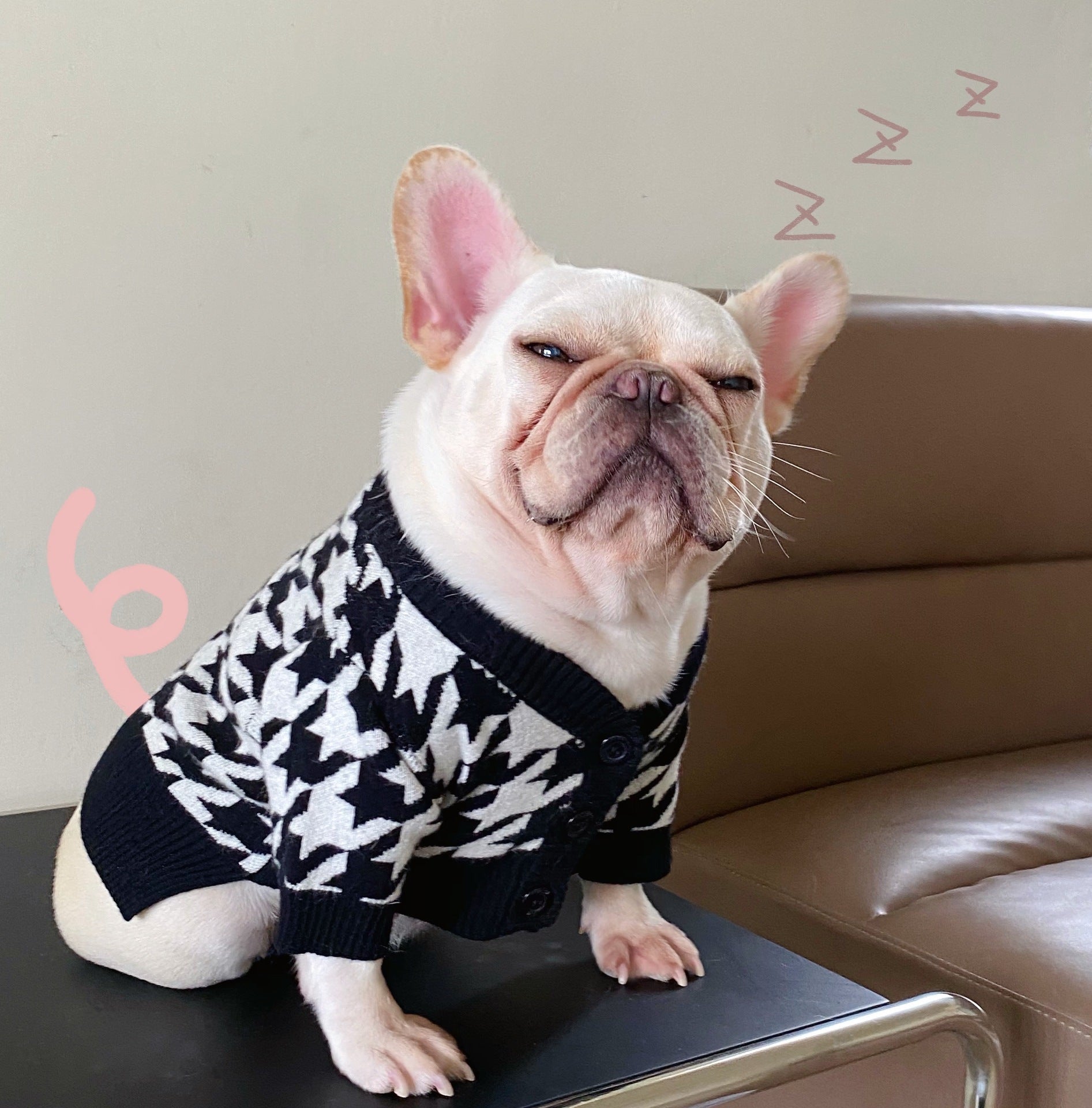 HKM-386835 Casual Wool Sweater for Dogs and Cats - Ideal for Fall and Winter, Perfect for Small Breeds