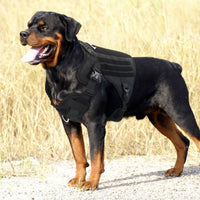 HKM-388755 Nylon Water-Resistant Tactical Chest Strap for German Shepherds - Available in Multiple Sizes
