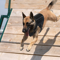 HKM-388755 Nylon Water-Resistant Tactical Chest Strap for German Shepherds - Available in Multiple Sizes