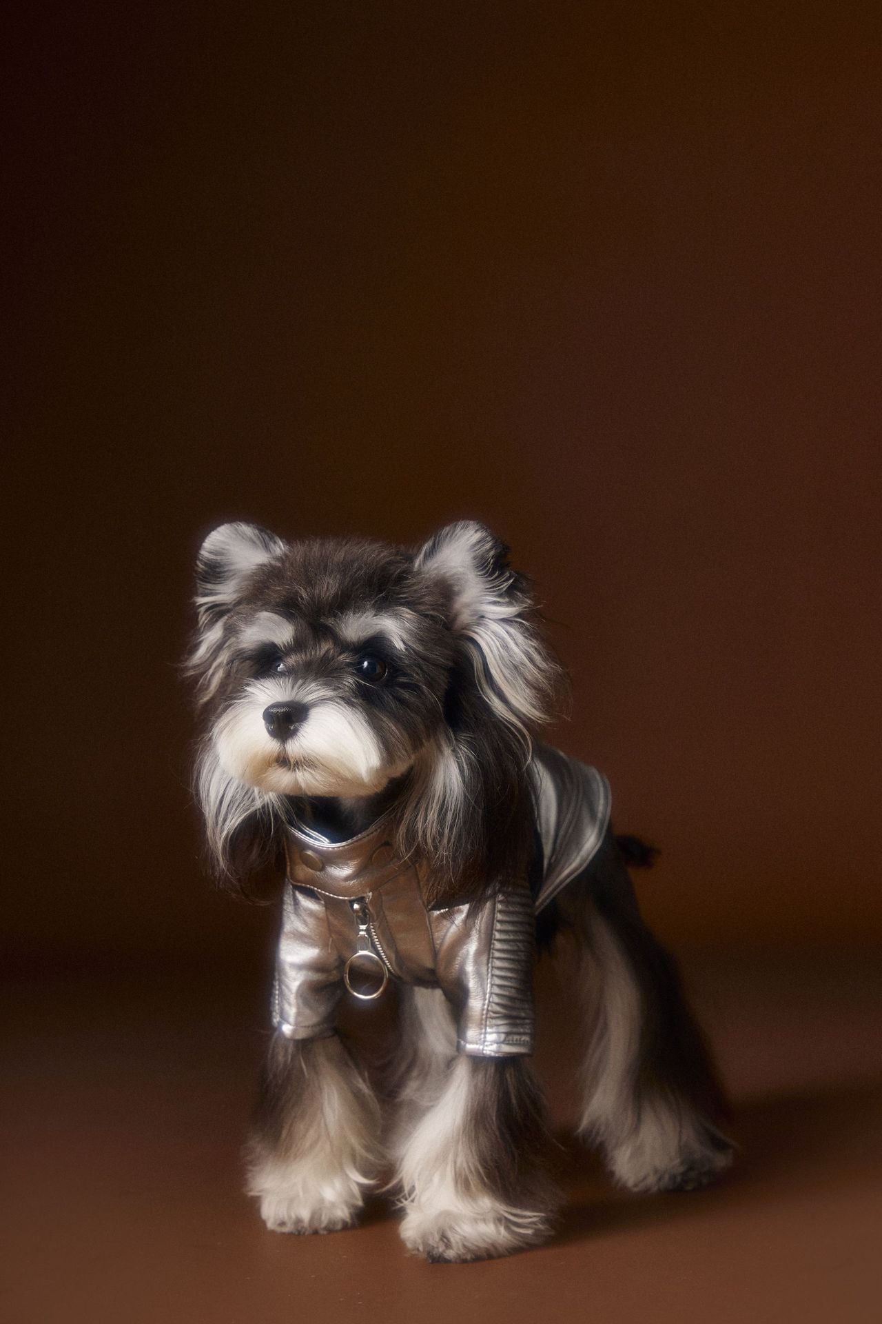 HKM-389203 Handsome Distressed Silver Leather Coat for Pets in Multiple Sizes