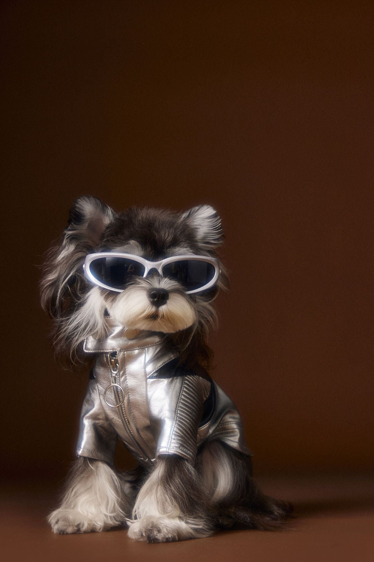 HKM-389203 Handsome Distressed Silver Leather Coat for Pets in Multiple Sizes