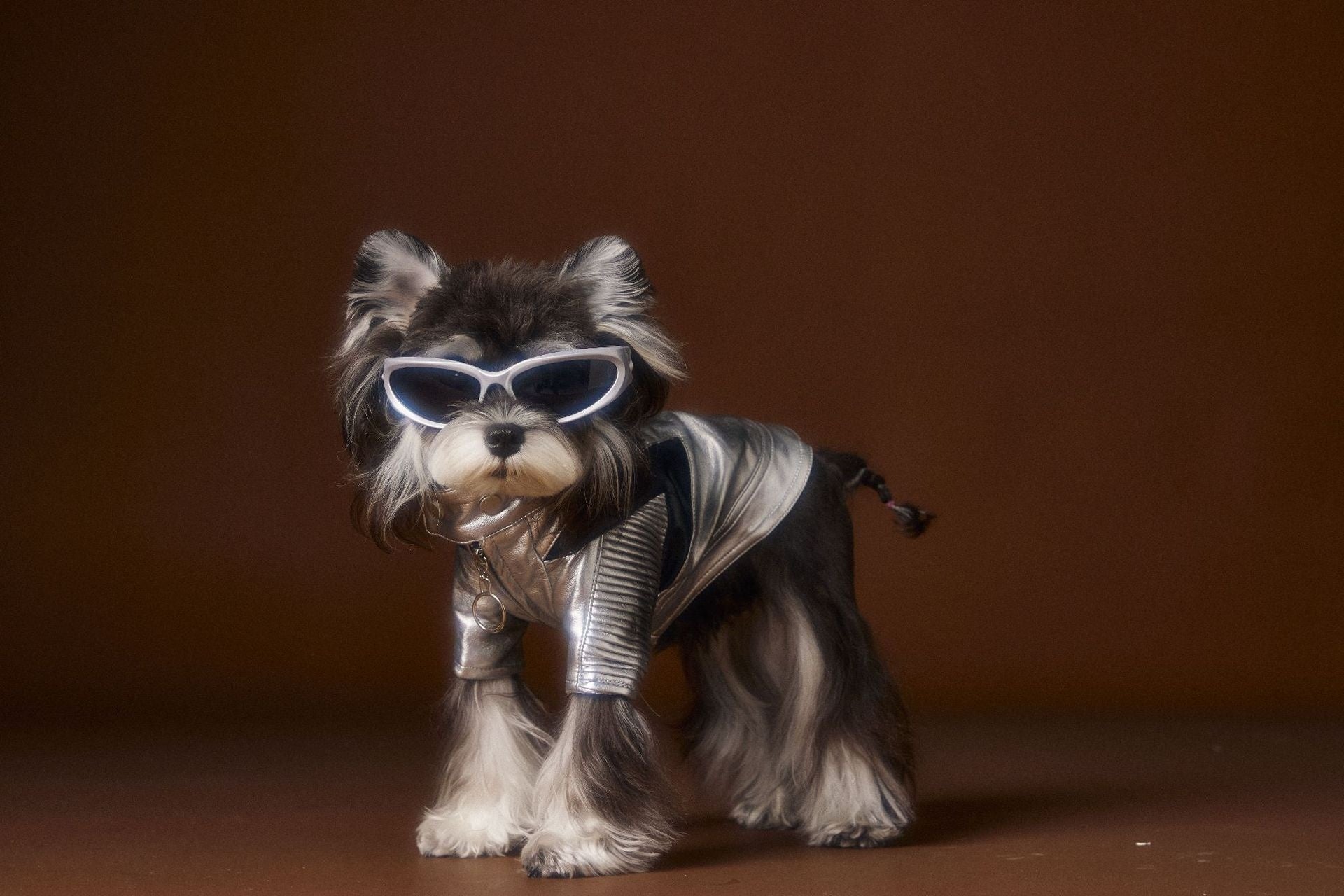 HKM-389203 Handsome Distressed Silver Leather Coat for Pets in Multiple Sizes