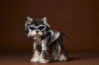 HKM-389203 Handsome Distressed Silver Leather Coat for Pets in Multiple Sizes