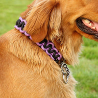 HKM-389587 Woven Dog Collar Bandana - Durable Nylon, Multiple Color Options