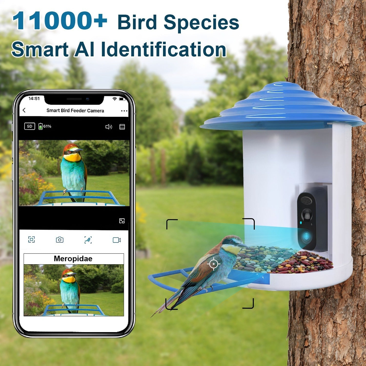 HKM-389651 Smart Bird Feeder with Solar-Powered Camera, 1080P HD Video, AI Bird Identification, PIR Motion Detection, App Control, IP65 Waterproof