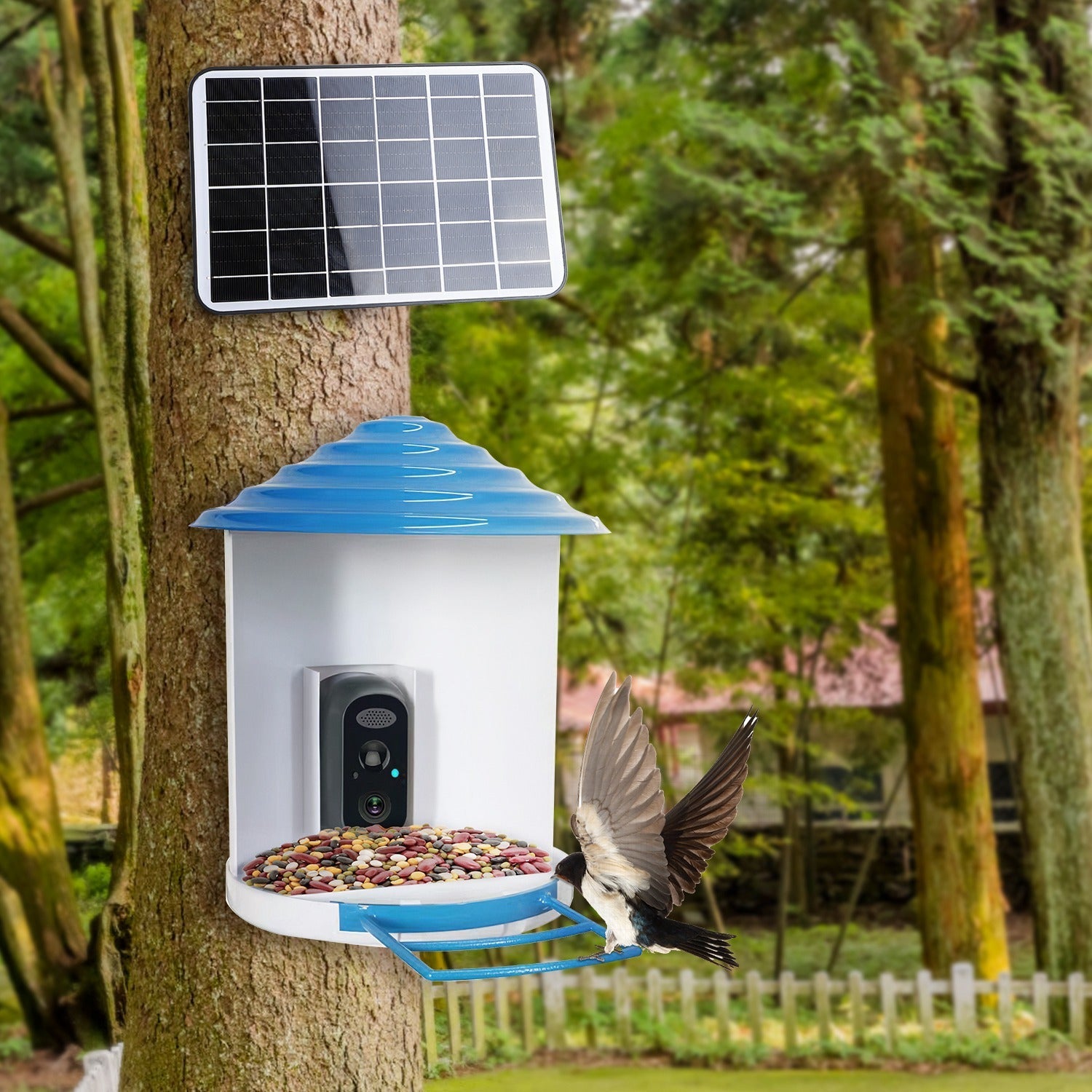 HKM-389651 Smart Bird Feeder with Solar-Powered Camera, 1080P HD Video, AI Bird Identification, PIR Motion Detection, App Control, IP65 Waterproof