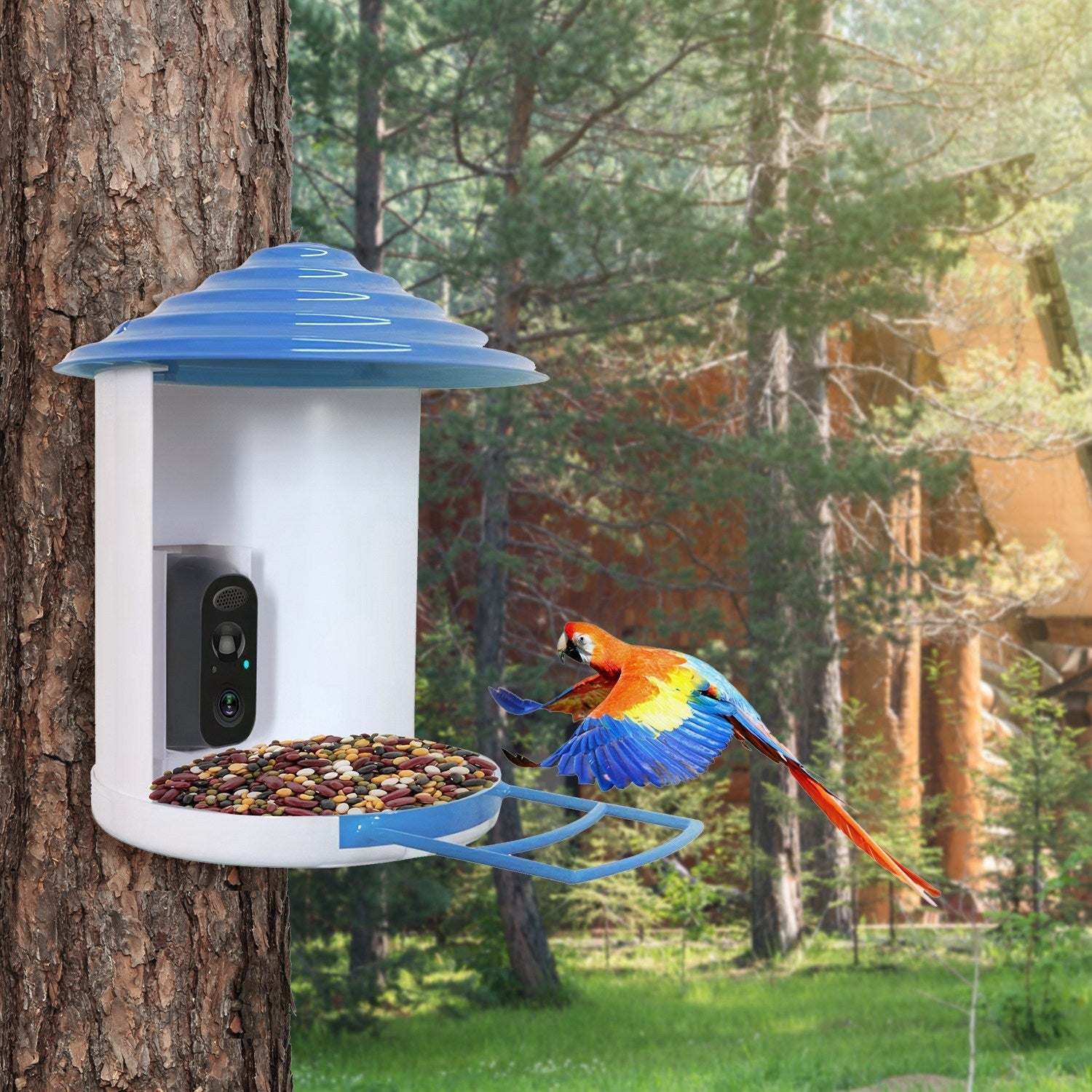 HKM-389651 Smart Bird Feeder with Solar-Powered Camera, 1080P HD Video, AI Bird Identification, PIR Motion Detection, App Control, IP65 Waterproof