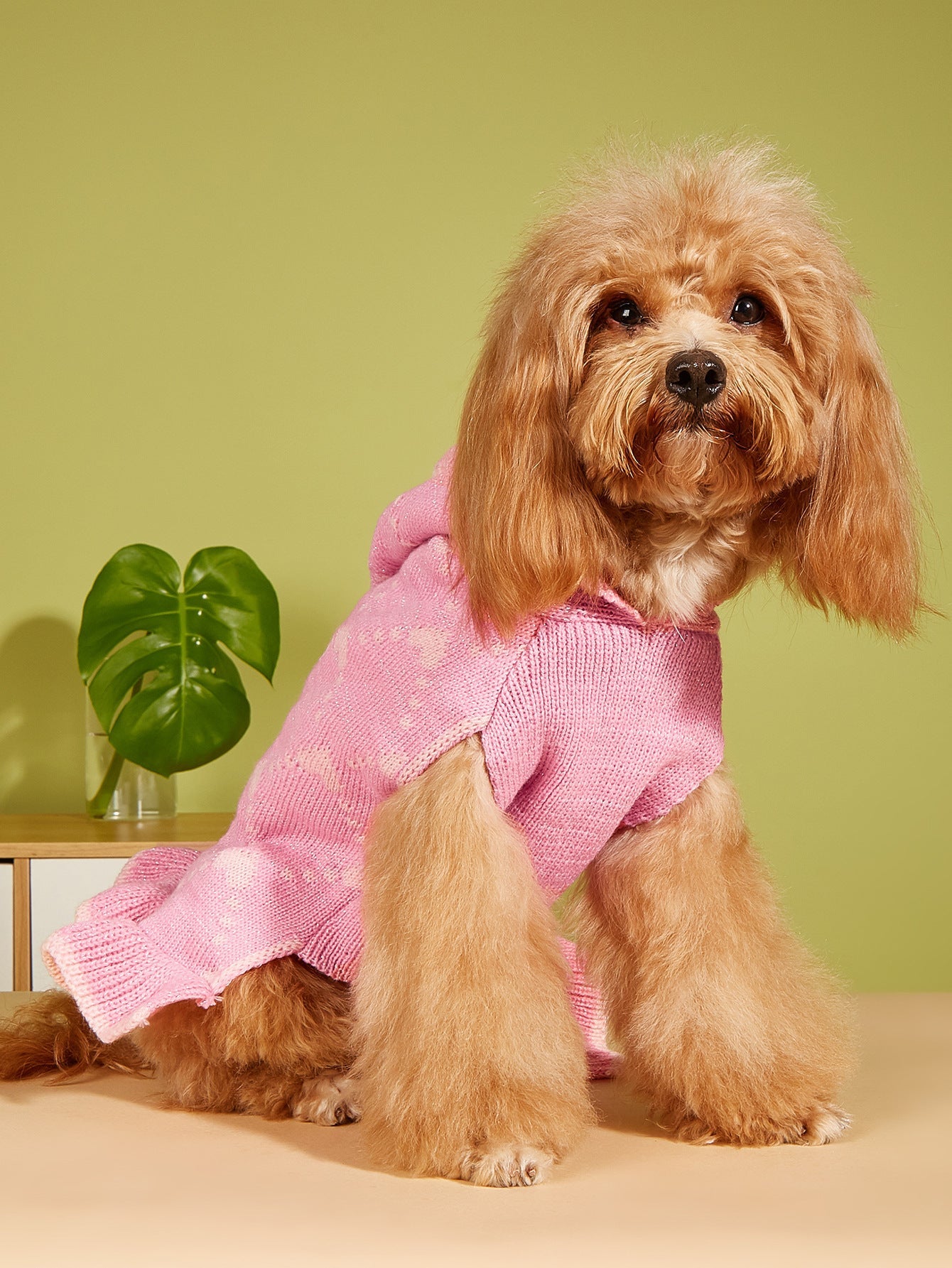 HKM-391123 Cute Winter Knit Hoodie for Small Dogs with Heart Design