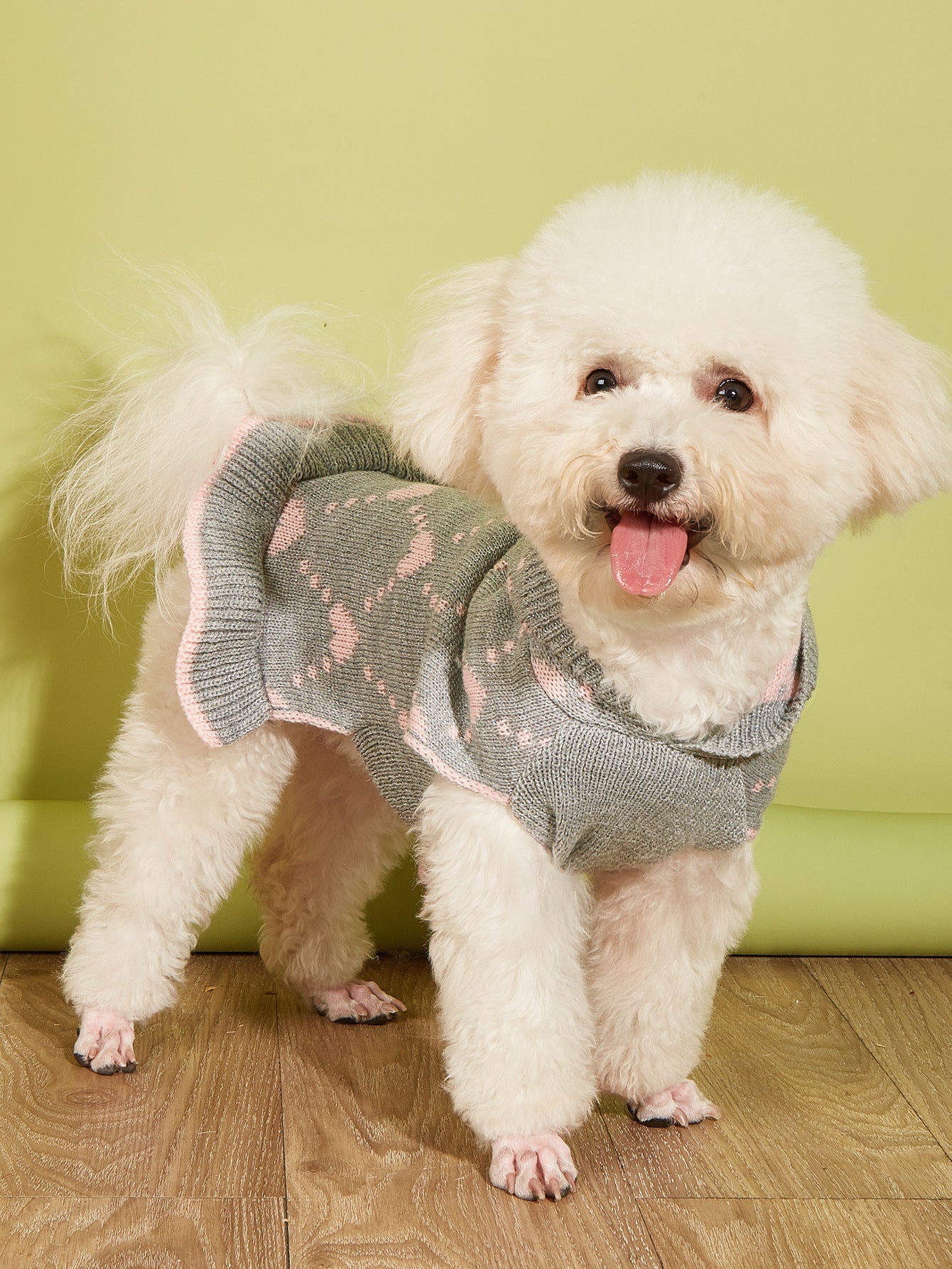 HKM-391123 Cute Winter Knit Hoodie for Small Dogs with Heart Design
