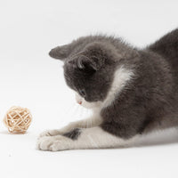 HKM-391315 Rattan Bell Ball Feather Sepak Takraw Funny Cat Toy
