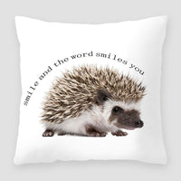 HKM-391827 Cartoon Peach Skin Velvet Cross Border Printing Pillow for Sofa and Living Room
