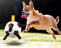 HKM-392659 Multifunctional Rope Pet Football Toy with TPU Design for Outdoor Dog Training