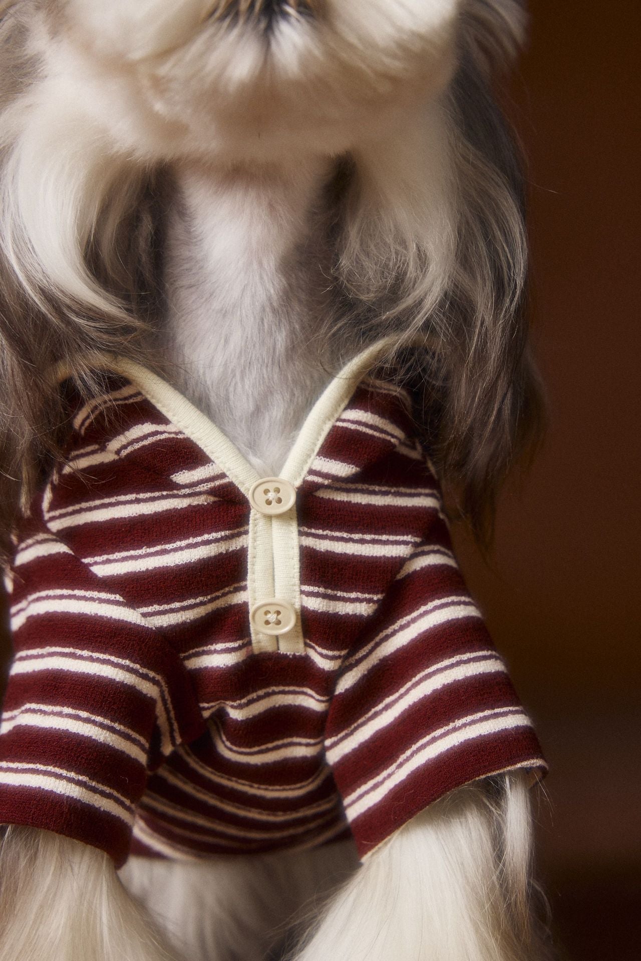 HKM-393491 Striped Sailor Collar Sweatshirt for Pets - Coffee and Red, Casual Style, Available in Multiple Sizes