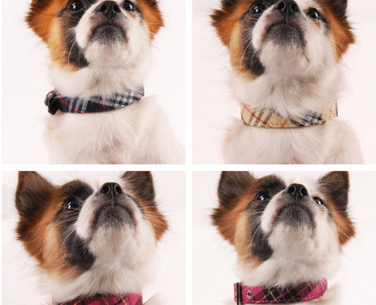 HKM-393875 Stylish PU Leather Twill Dog Collar in Multiple Colors and Sizes